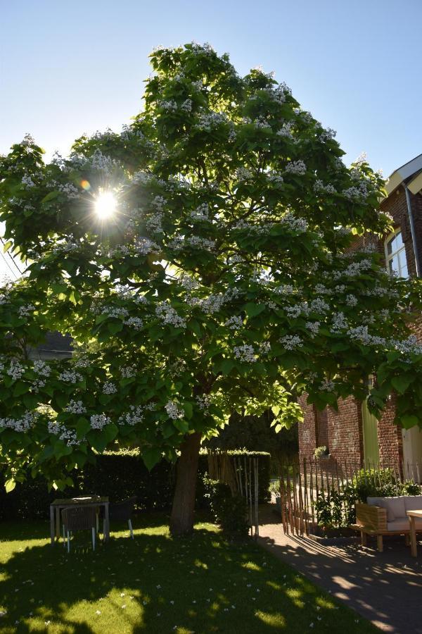 Mille Fleurs - Apartments Voeren Exterior foto